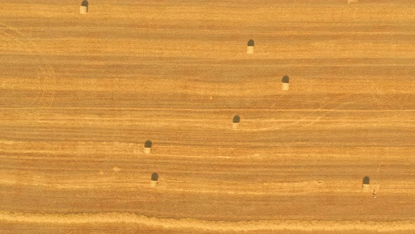 Hay Bales on Straw Yellow