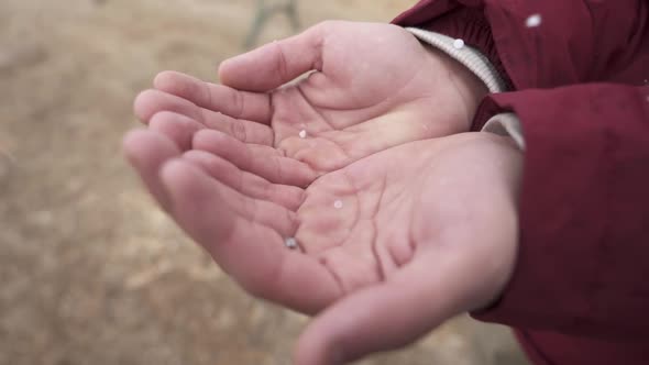 Crop man catching hail in hands alt