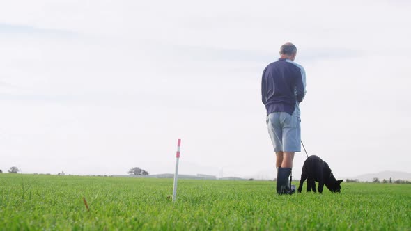 Shepherd dog walking with his owner in the farm alt