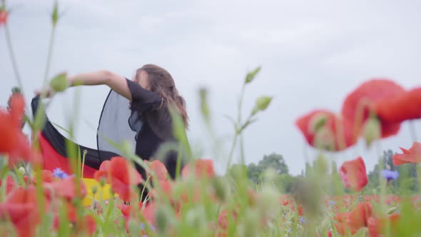Cute Adorable Young Girl Dancing in a Poppy Field Holding Flag of Germany in Hands Outdoors alt