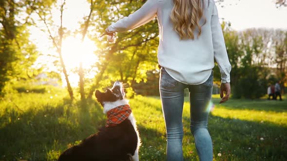 Beautiful Brunette Playing with Dog in Nature During Sunset