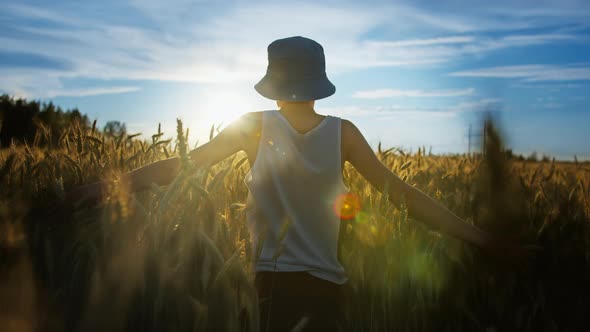 Funny Boy Walks on a Golden Wheat Field at Sunset Against a Beautiful Sky Cinematic Shot
