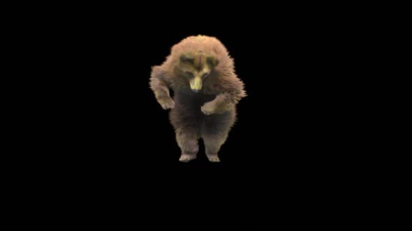 145 Bear Dancing HD alt