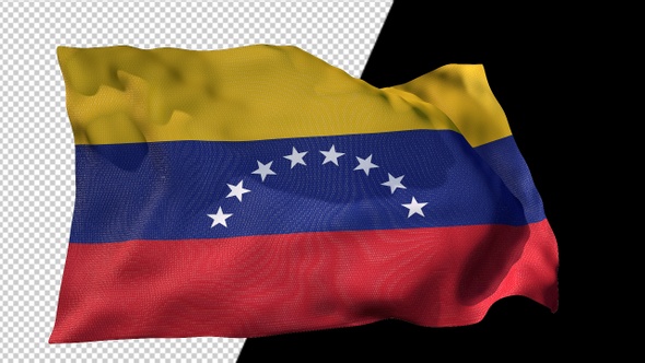 Flag Of Venezuela