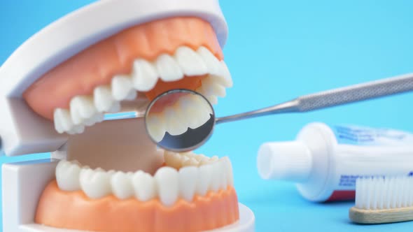 Dental Doctor Examines the Oral Cavity alt