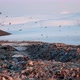Urban Refuse Dump At Sunset - VideoHive Item for Sale