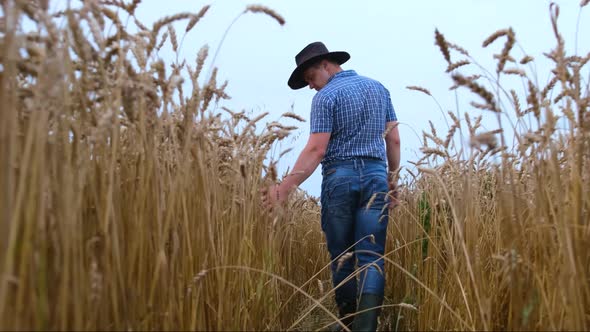 A young farmer, holding spikelets in his hands, rejoices in a good harvest. alt