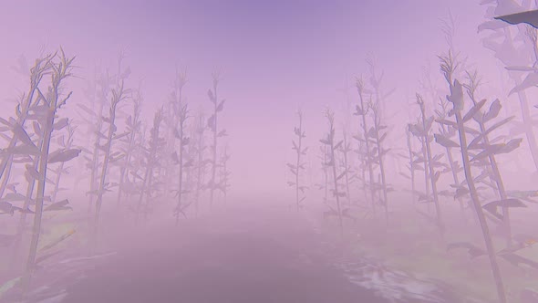 Fog And Forest 2k