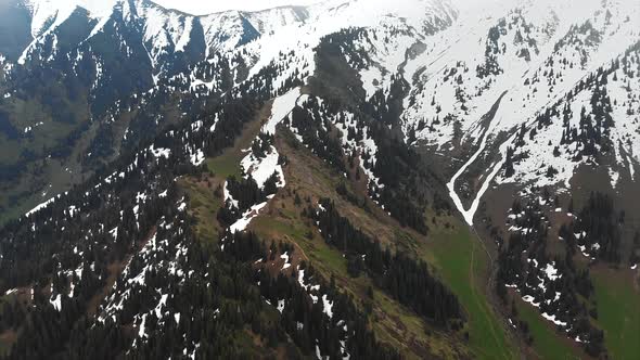 Aerial drone snow-capped mountains landscape with green forest during cloudy rainy weather alt