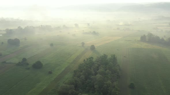 Fog over the valley and trees 4K aerial video alt