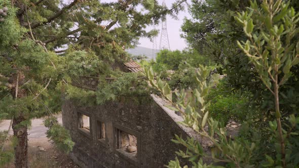 Pedestal down shot of old abandoned house in the woods, located at Parnitha mountain, Athens, Greece alt