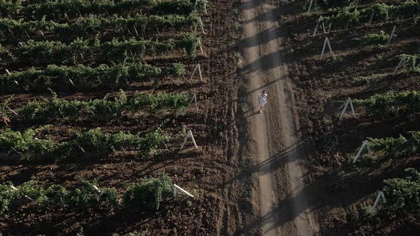 Brunette Woman in a Dress Walks Through the Grape Field alt