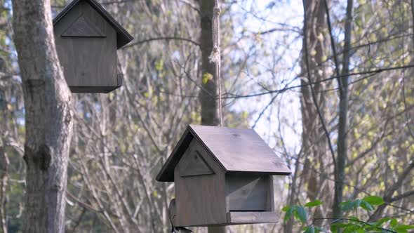 Small Bird Feeder House in the Park in Helsinki Finland