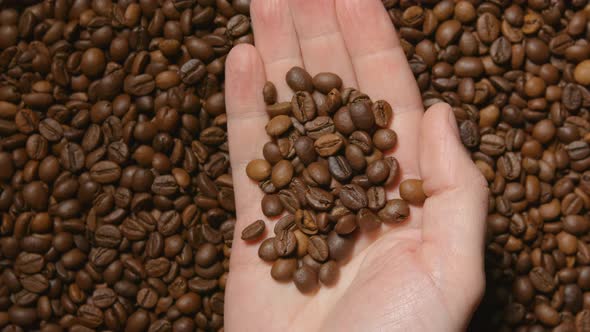 Human hand takes a roasted coffee beans
