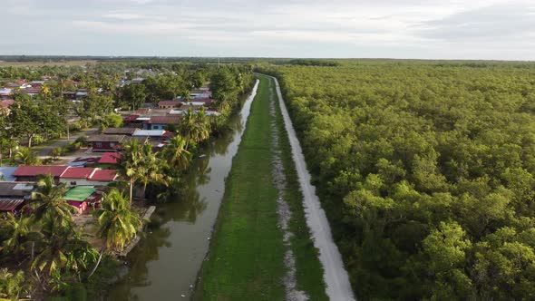 Aerial view mangrove forest beside Malays kampung alt