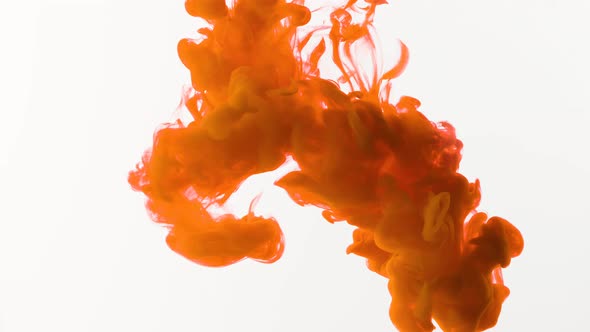 Orange Smokey Ink Drops Into Tank Of Liquid