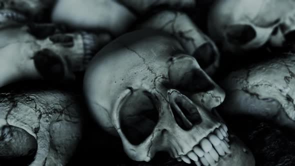 Human Skulls And Burned Ashes alt