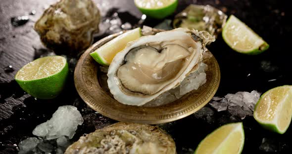 The Oysters in a Plate with a Piece of Lime Rotates. alt