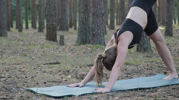 Flexible Slim Female Practices Yoga Performs Shvanasana at Sunny Pine Forest