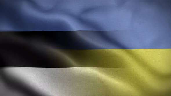 Ukraine Estonia Flag Loop Background 4K