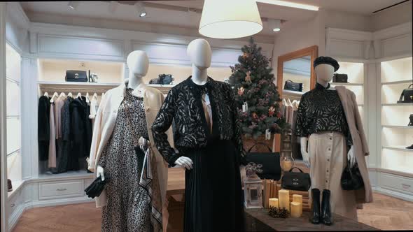 Fashion Store Christmas Showcase 3