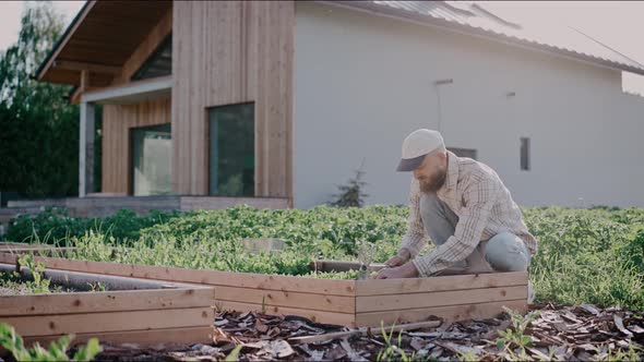 Man Takes Care of His Vegetable Beds in the Backyard on a Sunny Day alt