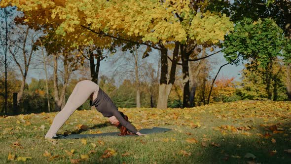 Young Woman Practices Upper and Down Facing Dog Poses in Autumn Park on a Mat