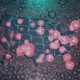 Mapping Biological Hazard in USA 4K - VideoHive Item for Sale