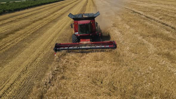 Drone Shot Over Combine Working on Wheat Fields During Harvesting alt