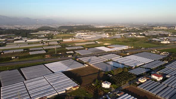 Greenhouses with Green Plants alt