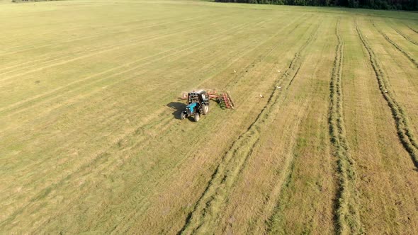 Top View of a Tractor Raking Hay in Rows with a Disc Rake. Aerial View alt