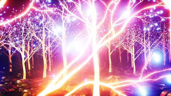 Glowing Magic Forest