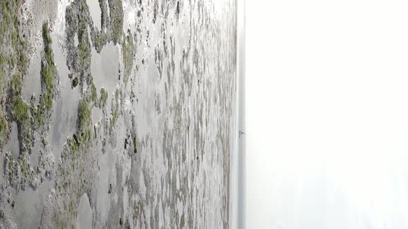 Zanzibar Tanzania  Vertical Video of Low Tide in the Ocean Near the Coast Slow Motion alt