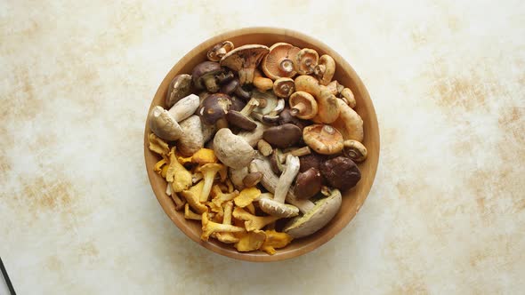 Various Kinds of Assorted Raw Mushrooms Placed in Wooden Bowl