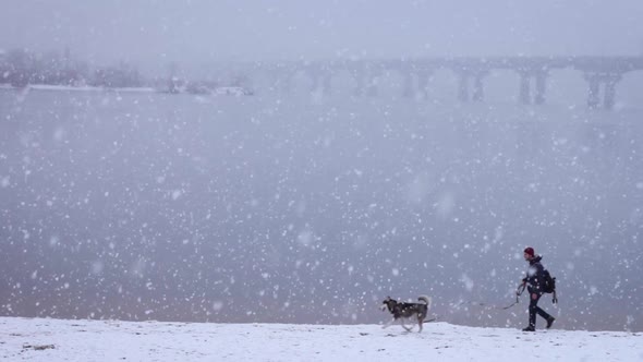 young guy walks a husky dog in a snowfall. Urban landscape. blizzard. alt