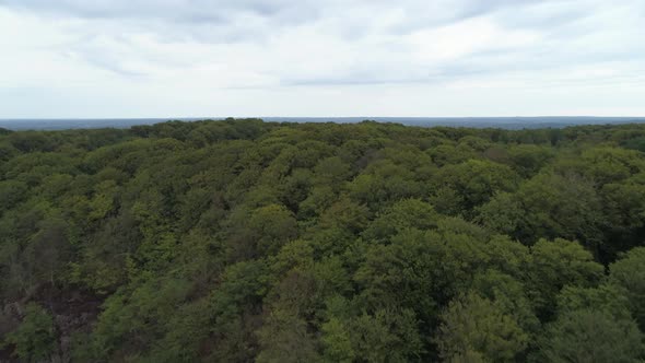Drone Shot Flying up Over Mountain Forest