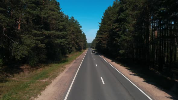 Overhead View From Drone of Roadway in Middle of Great Pine Forest on Sunny Autumn Day alt