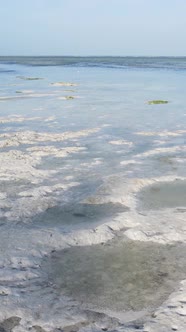 Tanzania  Vertical Video of Low Tide in the Ocean Near the Coast of Zanzibar Slow Motion alt