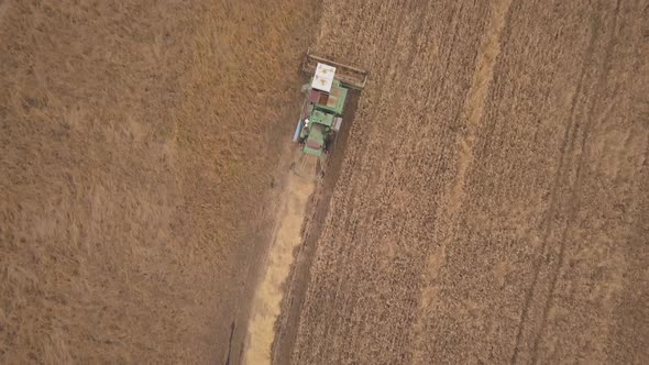 Aerial Drone Shot of a Combine Harvester Working in Autumn