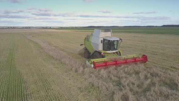 Close Side View Modern Combine Cuts Ripe Wheat on Field alt