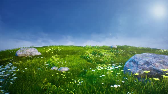 stylized grass land