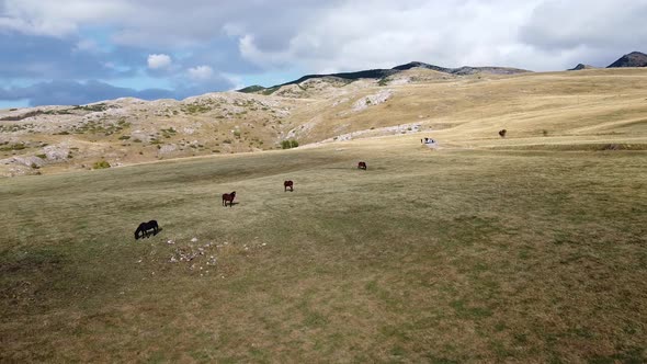 Drone View of Mountainous Area with Horses Grazing on Pasture
