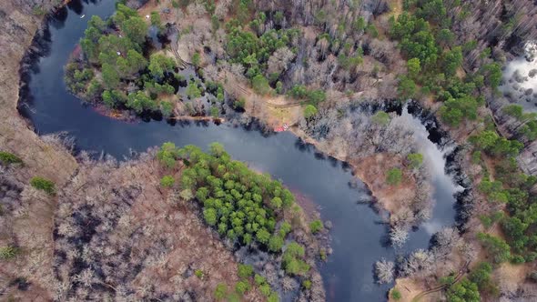 Aerial view of the river between the pines. Flying over a winding riverbed surrounded by treetops alt