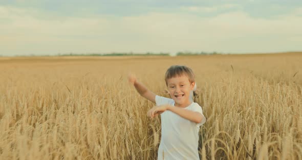 Happy Boy Runs on a Wheat Golden Field