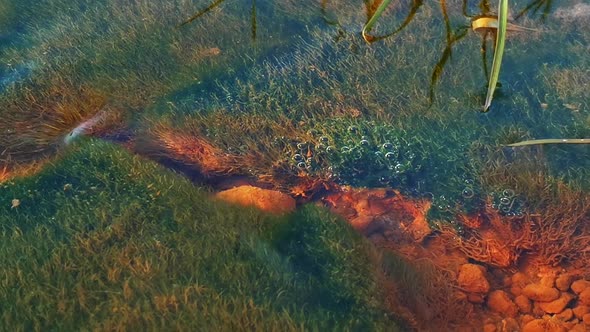 Vlog Sunset River Spring Snow And Ice Melting Field Stream Water Grass- alt