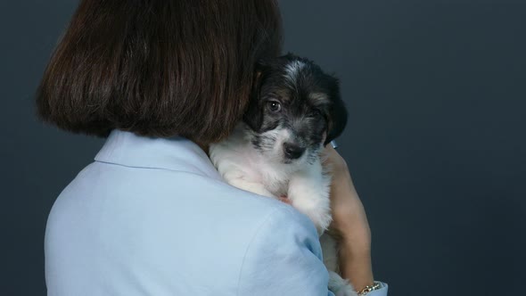 Terrier Puppy on the Shoulder of a Young Woman