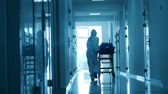 Doctor Is Moving a Trolley with a Patient Along the Hospital. Coronavirus Hospital, COVID-19 Clinic alt