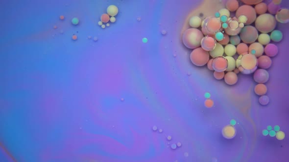 Magical Paint Bubbles In Oil