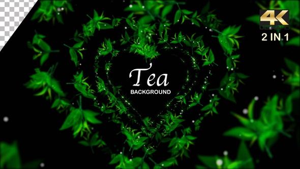 Tea Leaves Background 4K