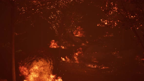 Large Flames of Forest Fire at Night alt